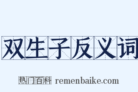 双生子反义词是什么意思的图片